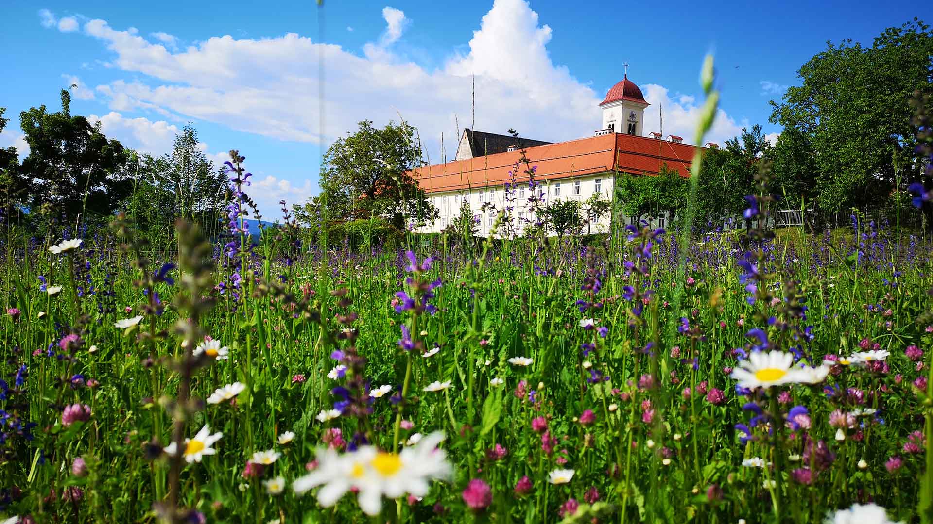 stiftshotel-blumenwiese-hg