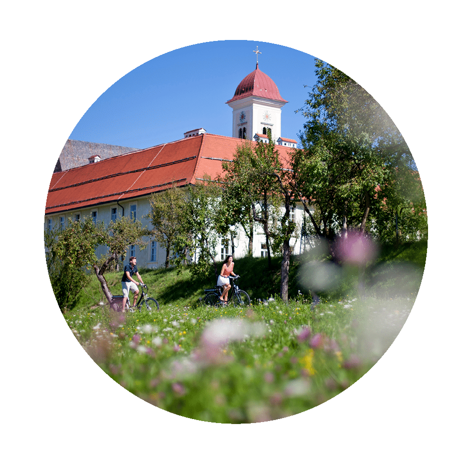 Kreis-Rad
